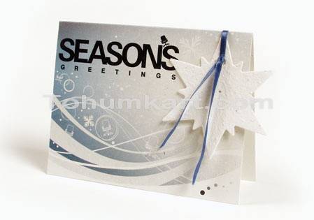 Yı Poc 1 Yıldızlı Kar Tanesi